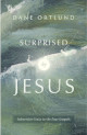 Surprised by Jesus