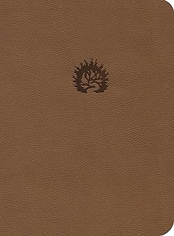 ESV Reformation Study Bible light brown leather like