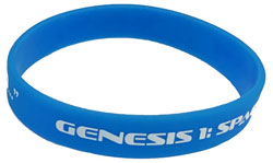 SP Blue Wristband-5 pack